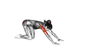Read more about the article Kneeling Push-Up to Child’s Pose