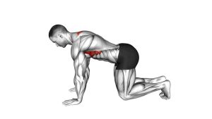 Read more about the article Kneeling Scapular Push-Up