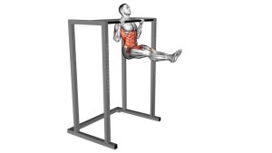 Read more about the article L-Pull-Up