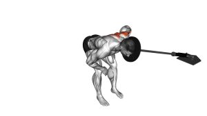 Read more about the article Landmine One-Arm Bent-Over Row