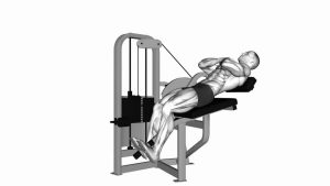 Read more about the article Lever Back Extension