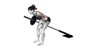Read more about the article Lever Bent-Over Row