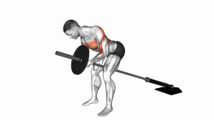 Read more about the article Lever Bent-Over Row