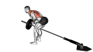 Read more about the article Lever Bent-Over Row with V-Bar