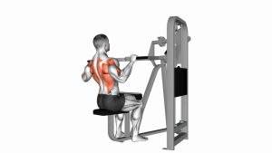 Read more about the article Lever Front Pulldown