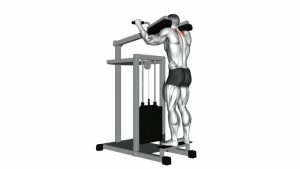 Read more about the article Lever Gripless Shrug