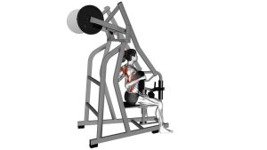 Read more about the article Lever High Row