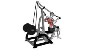 Read more about the article Lever High Row