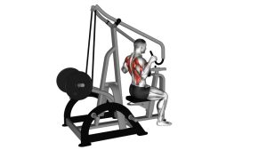 Read more about the article Lever High Row