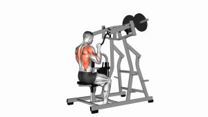 Read more about the article Lever Lateral Pulldown