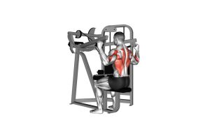 Read more about the article Lever Lateral Wide Pulldown