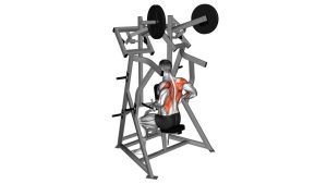 Read more about the article Lever Low Row