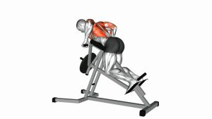 Read more about the article Lever Lying T-Bar Row