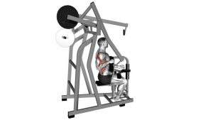Read more about the article Lever One-Arm Lateral High Row