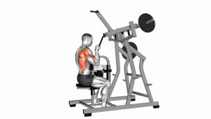 Read more about the article Lever One-Arm Lateral Wide Pulldown