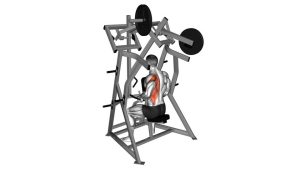 Read more about the article Lever One-Arm Low Row