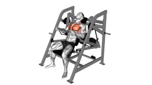 Read more about the article Lever Pullover