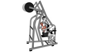 Read more about the article Lever Reverse Grip High Row