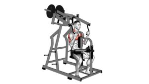 Read more about the article Lever Reverse-Grip Lateral Pulldown