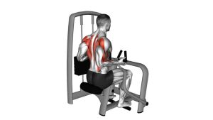 Read more about the article Lever Reverse-Grip Vertical Row