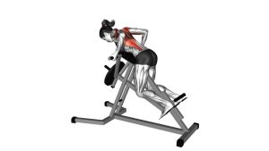 Read more about the article Lever Reverse T-Bar Row