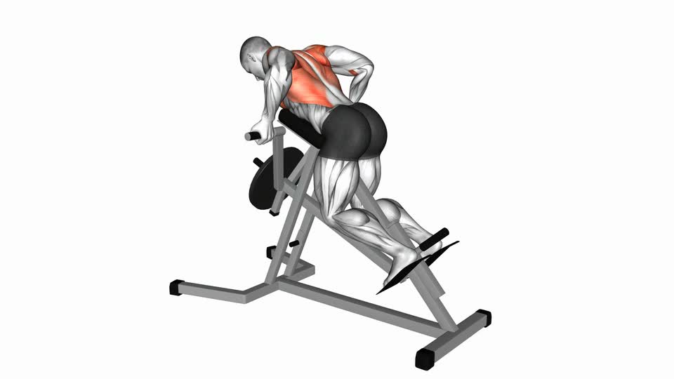 Lever Reverse T-Bar Row - ManiacMuscle
