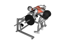 Read more about the article Lever Row (Plate-Loaded)