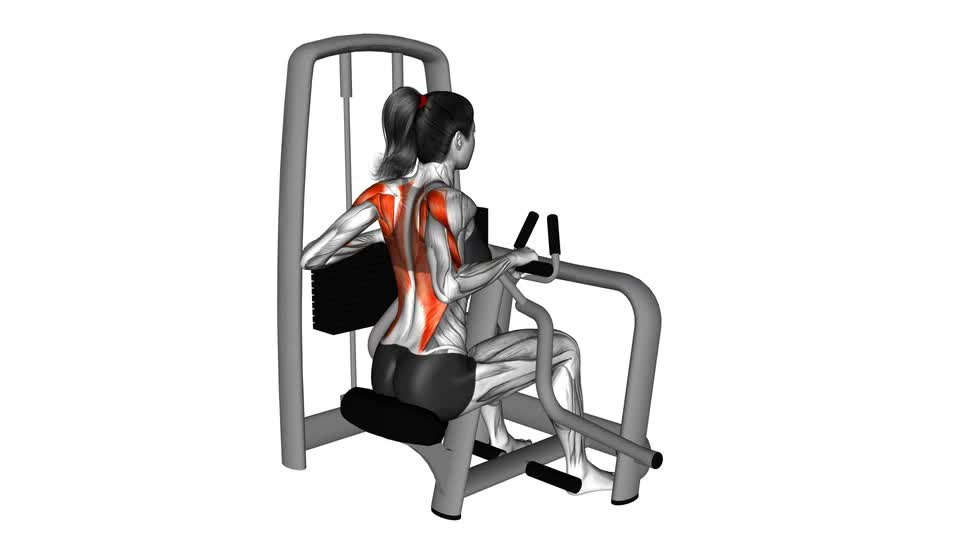 Lever Seated Row - ManiacMuscle