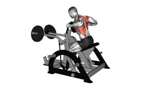Read more about the article Lever Seated Row