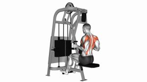 Read more about the article Lever Seated Row