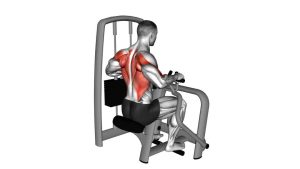 Read more about the article Lever Seated Row