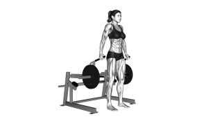 Read more about the article Lever Shrug