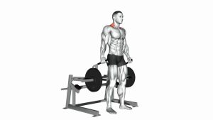 Read more about the article Lever Shrug (Plate-Loaded Machine Shrug)