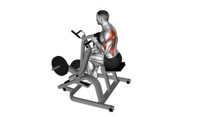 Read more about the article Lever Single-Arm Neutral-Grip Seated Row