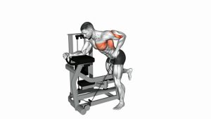 Read more about the article Lever Unilateral Row