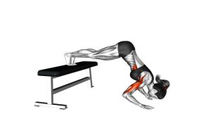 Read more about the article Pike Push-Up on Bench