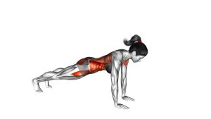 Read more about the article Plank Arm Lift