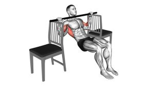 Read more about the article Inverted Row with Bent Knees Between Chairs
