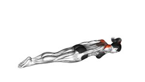 Read more about the article Pulse Row