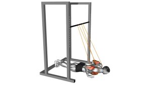 Read more about the article Resistance Band Push-Up