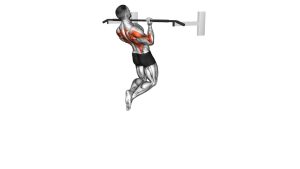 Read more about the article Reverse-Grip Pull-Up