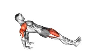 Read more about the article Reverse Plank Hip Lift