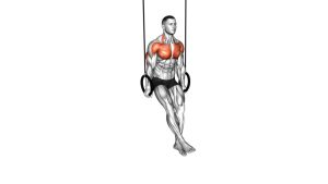 Read more about the article Ring Archer Dip (Gymnastic Rings)