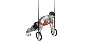 Read more about the article Ring Archer Push-Up (Gymnastic Rings)
