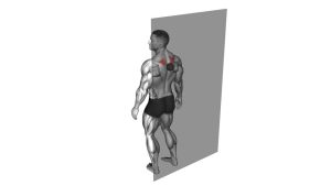 Read more about the article Roll Ball Rhomboid Back