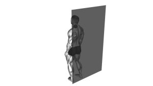 Read more about the article Roll Ball Scapula Levator Back