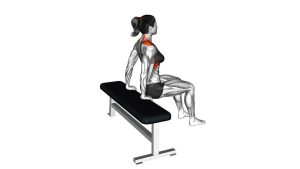Read more about the article Scapula Dips