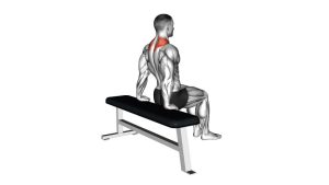 Read more about the article Scapula Dips