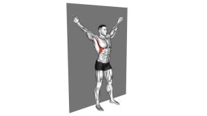 Read more about the article Scapular Slide Back to Wall