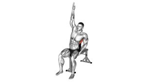 Read more about the article Seated Lower Back Stretch